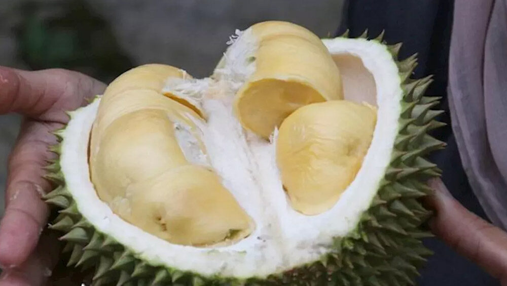 durian