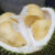 durian