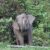 IMG-20240818-WA0007