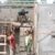 IMG-20250511-WA0008