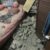 IMG-20250511-WA0019