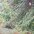 IMG-20250714-WA0000